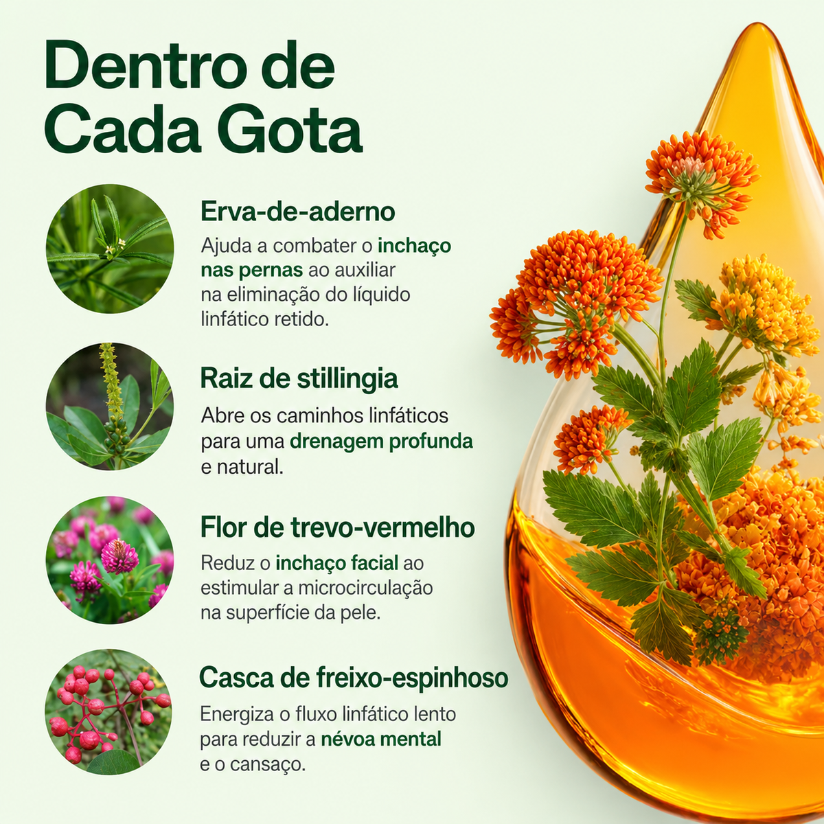 (Reviva® Gotas para Drenagem Linfática)